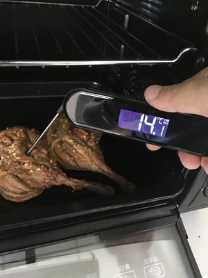 InstaProbe (weniger als.6 Sekunden) Professionelles Fleischthermometer Digital, Instant-Reading-Thermometer mit OLED-Display, IP67 wasserdicht für Grill, Grill, Kochen, Rauchen, Heimbrauerei, NSF zertifiziert