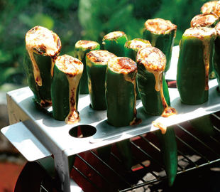 Edelstahl BBQ bearbeitet das silberne leicht gesäuberte Farbgrill-Röster-Gestell