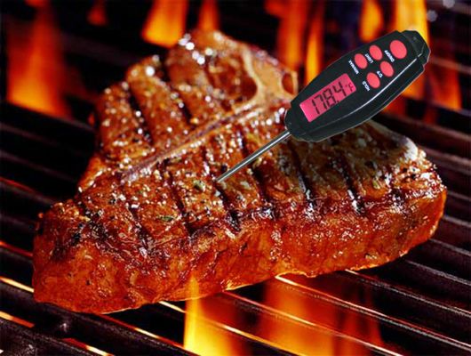 Grill-Thermometer Prüfgeräte IPX 4 Digital mit Plastikschutz